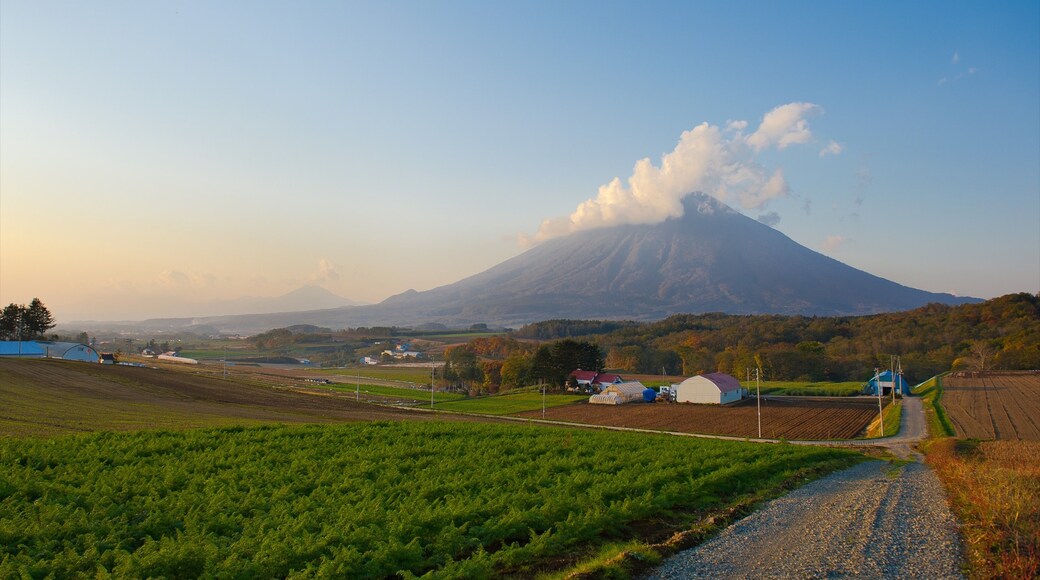 Niseko featuring farmland, landscape views and mountains