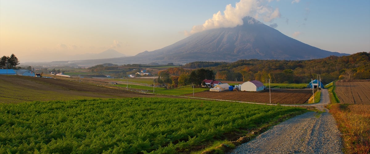 Niseko featuring mountains, landscape views and farmland