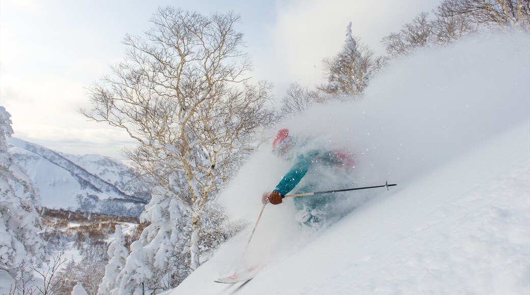 Ảnh của Aaron Jamieson/Niseko Promotion Board