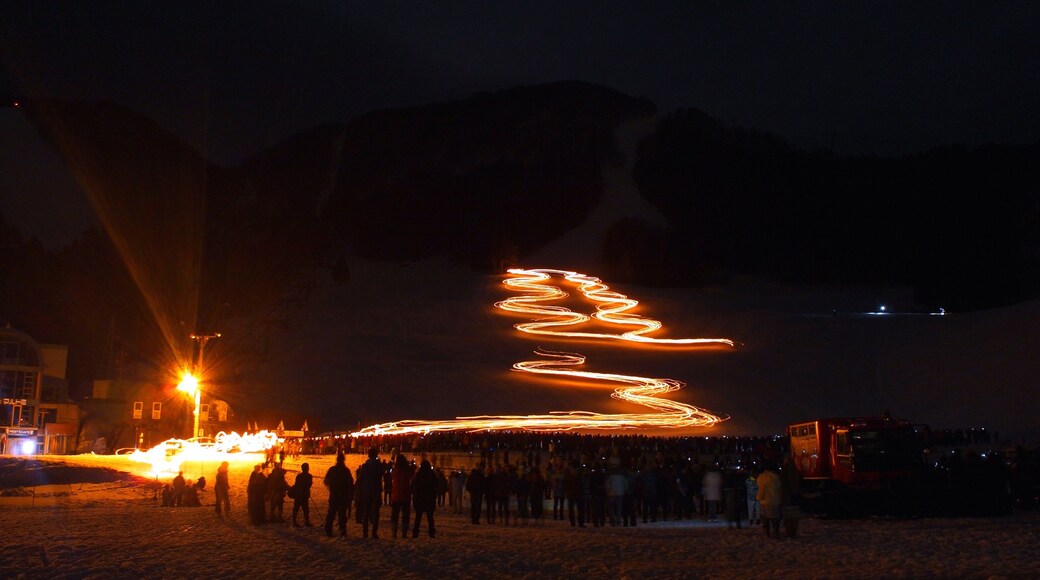 Foto fornecida por Nozawa Onsen Tourism Association