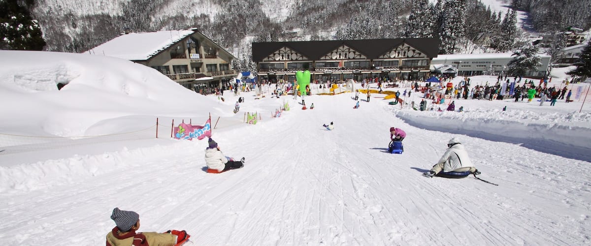 Nozawa Onsen Snow Resort showing snow and snow tubing as well as children