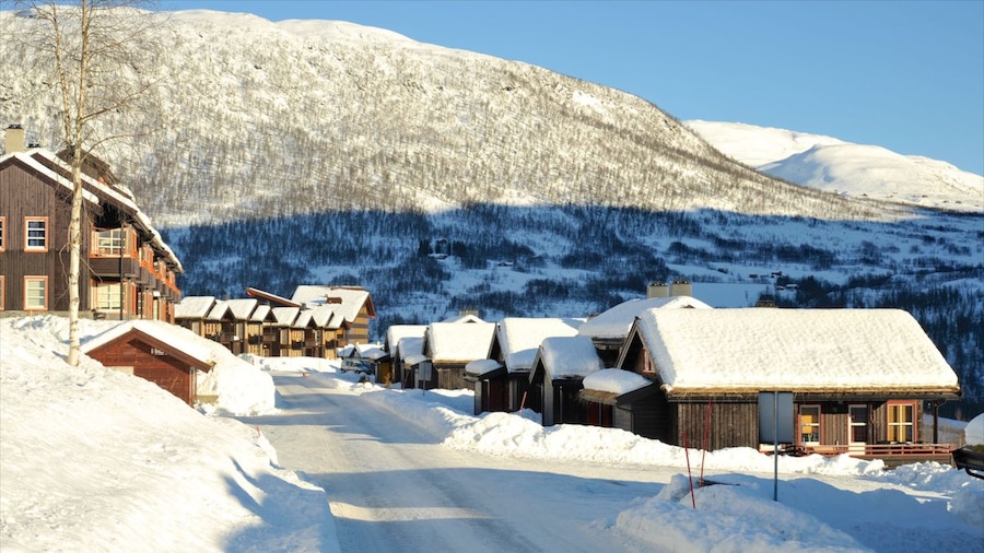 Myrkdalen which includes a small town or village, mountains and snow