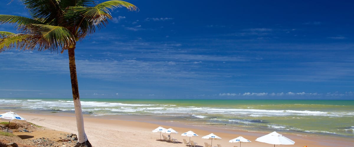 Flamengo Beach mostrando cenas tropicais e uma praia de areia