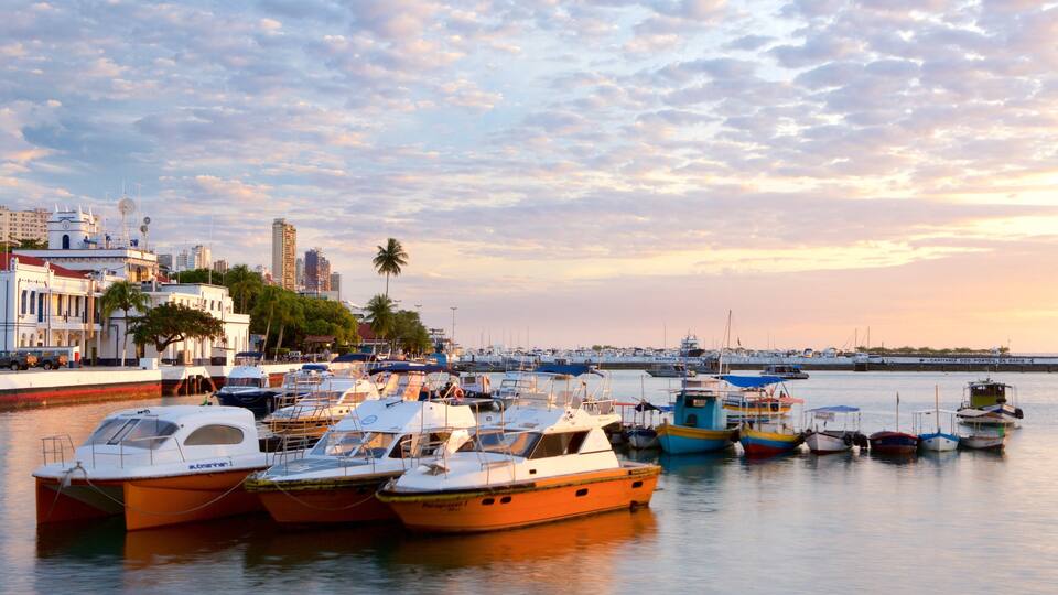 Salvador featuring tropical scenes, a coastal town and boating