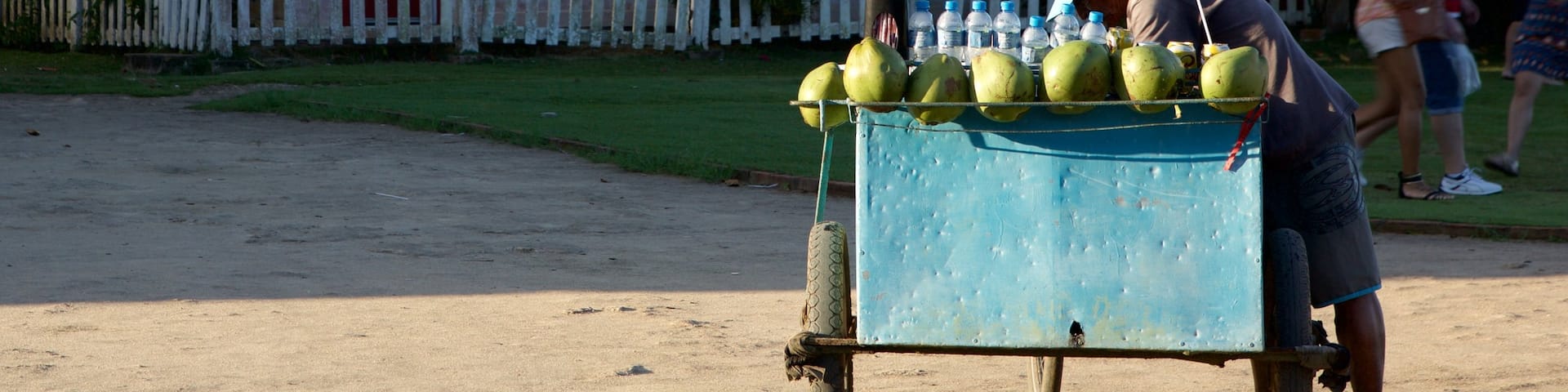 Northeast Region showing food as well as an individual male