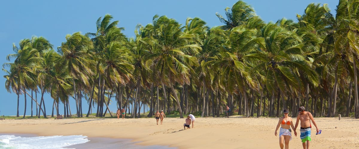 Maceio featuring a sandy beach and tropical scenes as well as a couple