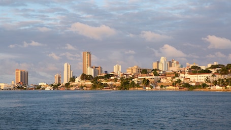 Natal showing general coastal views, a high rise building and a coastal town