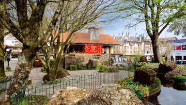 Nicoletti Square showing a pond and a garden