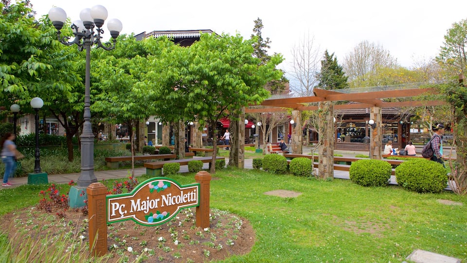 Nicoletti Square featuring a park