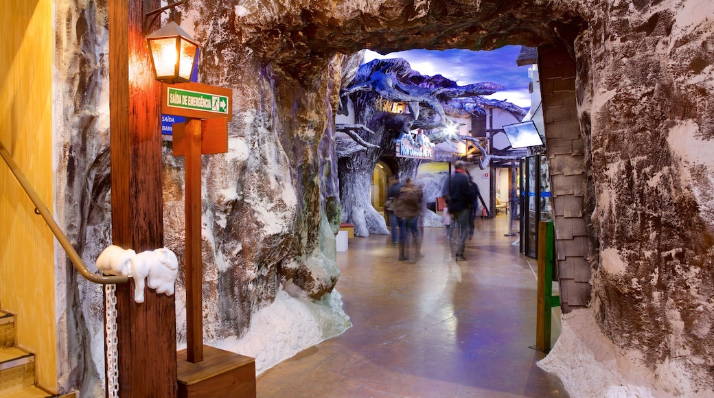 Gramado featuring signage, interior views and snow