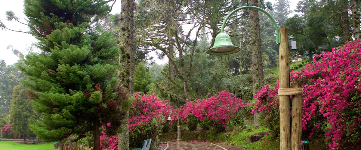Parque do Lago Negro caracterizando flores e um parque