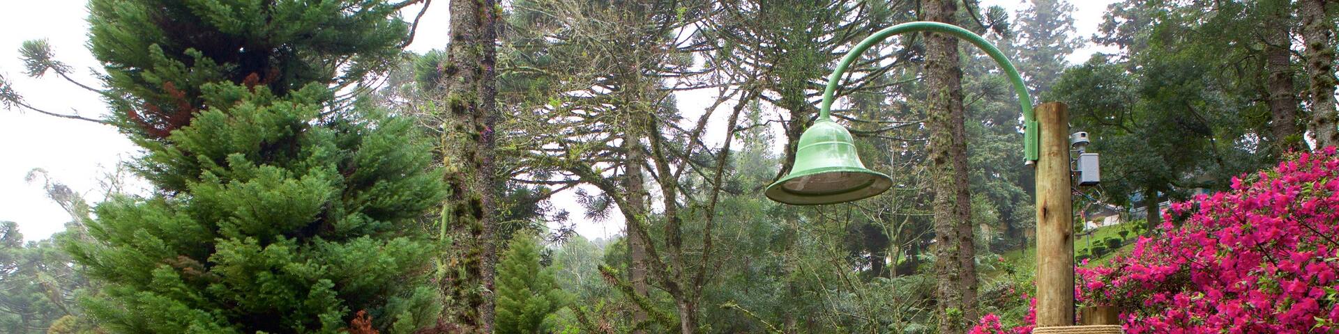 Black Lake Park which includes a park and flowers
