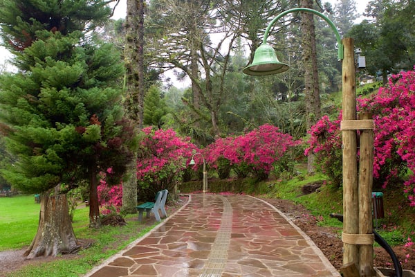 Parque do Lago Negro mit einem Blumen und Park