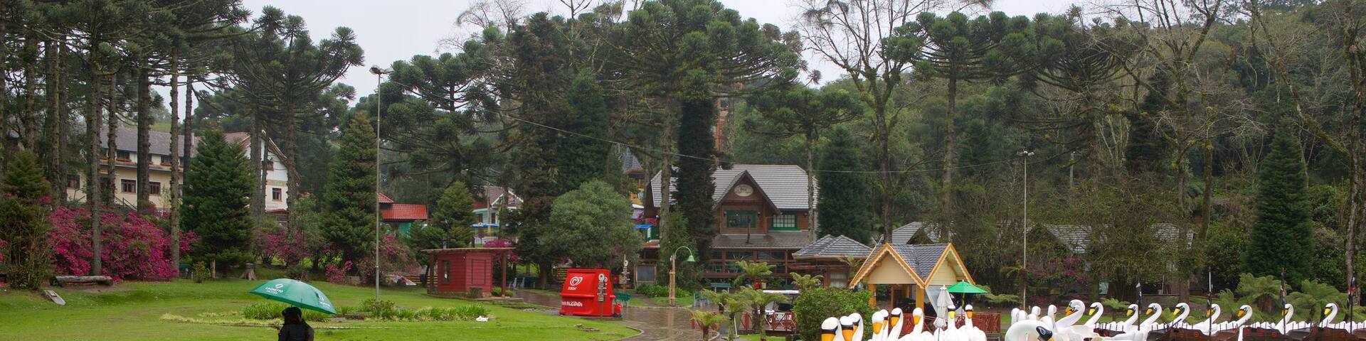 Black Lake Park featuring a garden and a pond