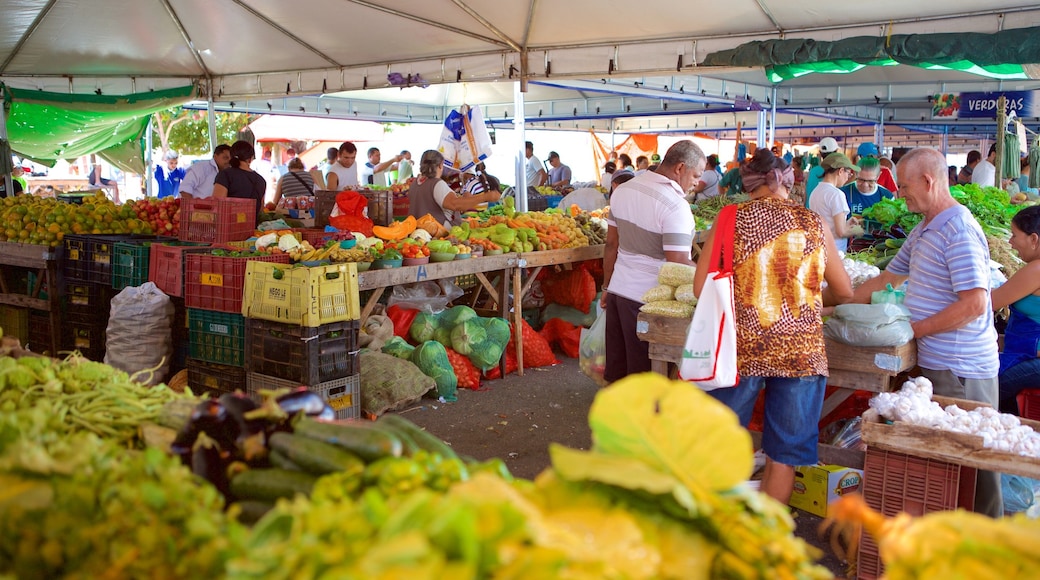 Natal mostrando mercados e comida assim como um grande grupo de pessoas