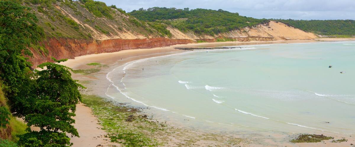 Baia Formosa mettant en vedette vues littorales et plage de sable