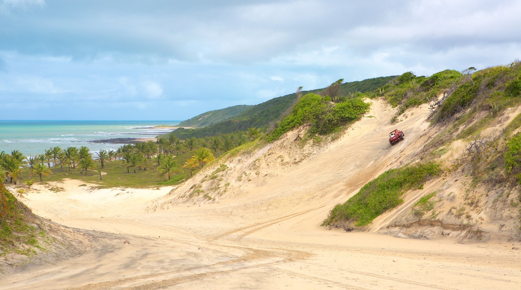 Baia Formosa bevat algemene kustgezichten en een strand