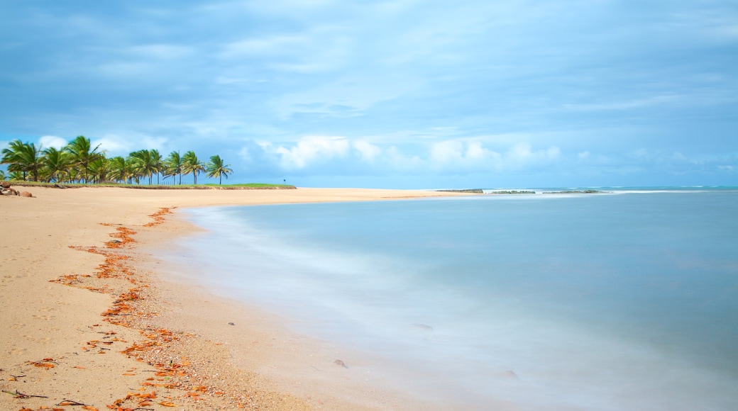 Barra do Cunhau que incluye vista general a la costa, una playa y vista panorámica