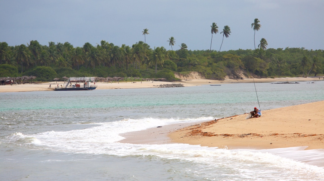 Barra do Cunhau inclusief vissen, een strand en algemene kustgezichten