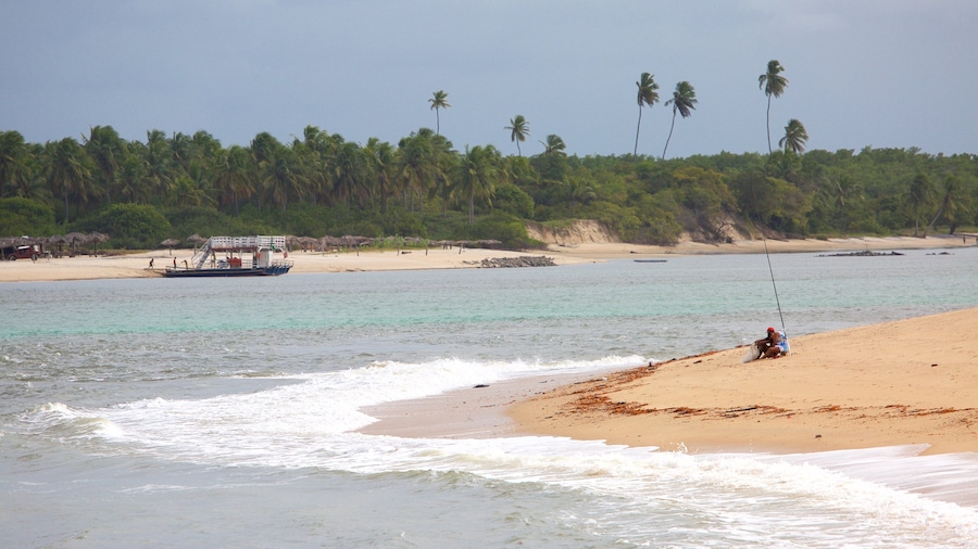Barra do Cunhau mostrando vistas generales de la costa, una playa y pesca