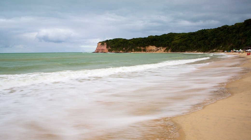 Pipa que incluye una playa, vistas de una costa y olas