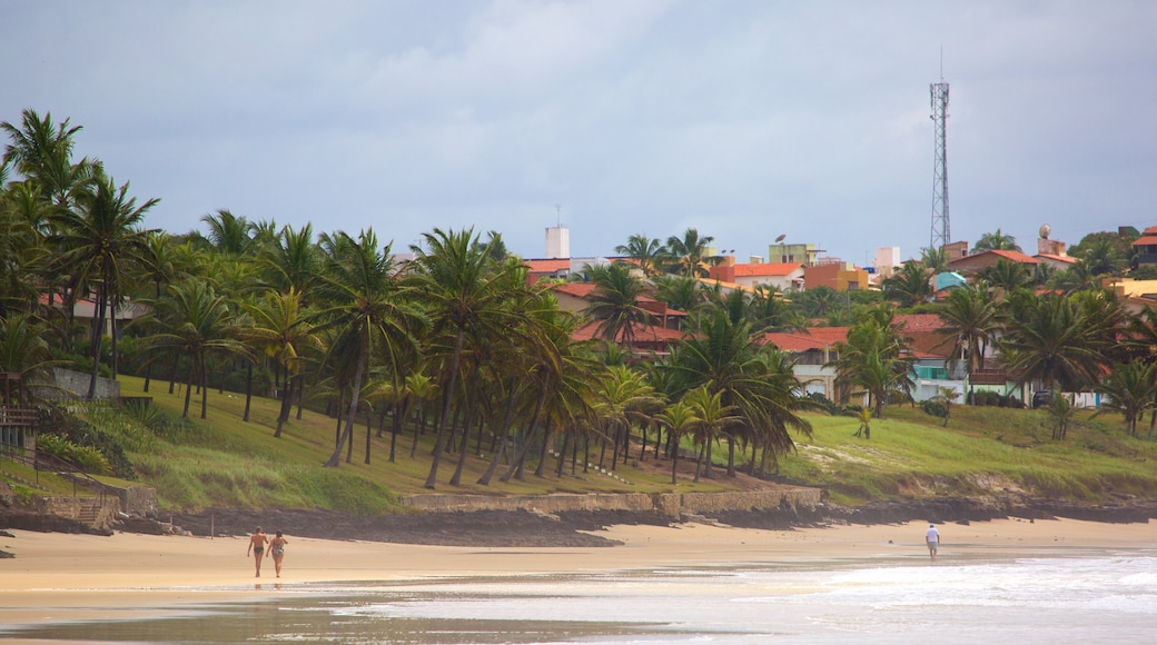 Praia de Cotovelo caracterizando cenas tropicais, paisagens litorâneas e uma praia