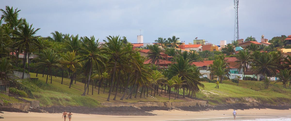 Plage de Cotovelo montrant scĂšnes tropicales, vues littorales et plage de sable