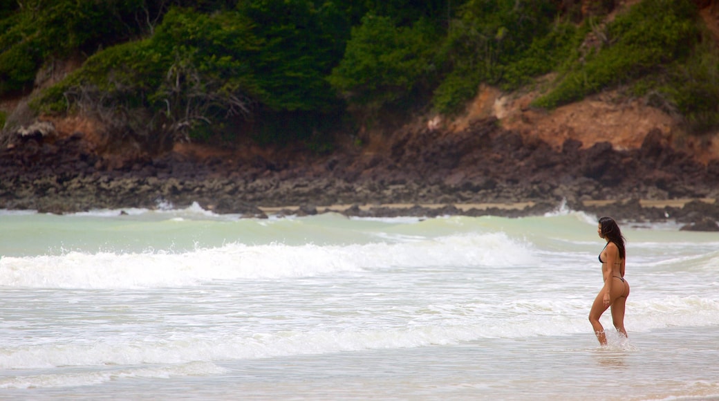 Praia de Cotovelo que inclui litoral acidentado, ondas e paisagens litorâneas