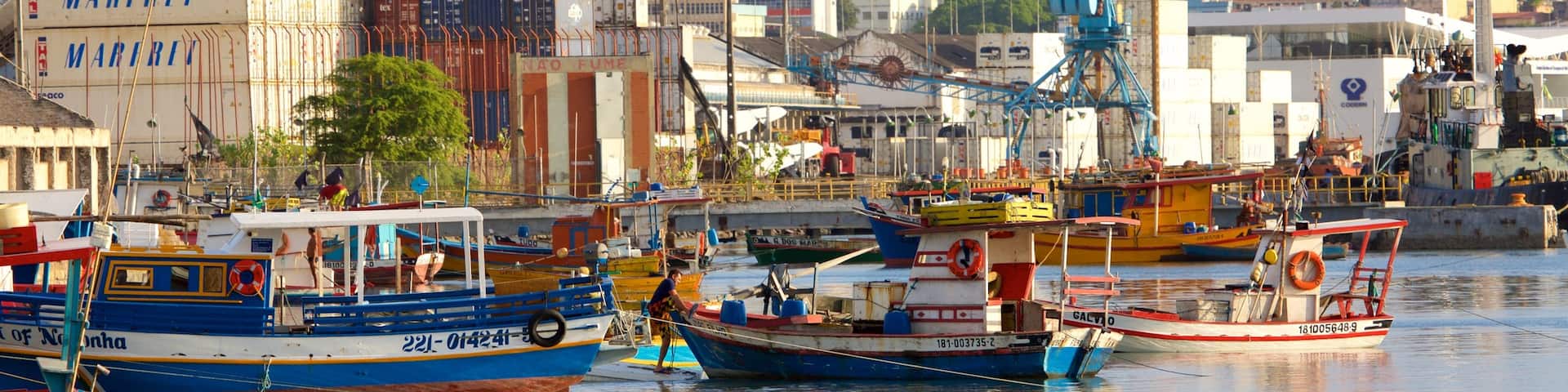 Natal which includes boating and a marina
