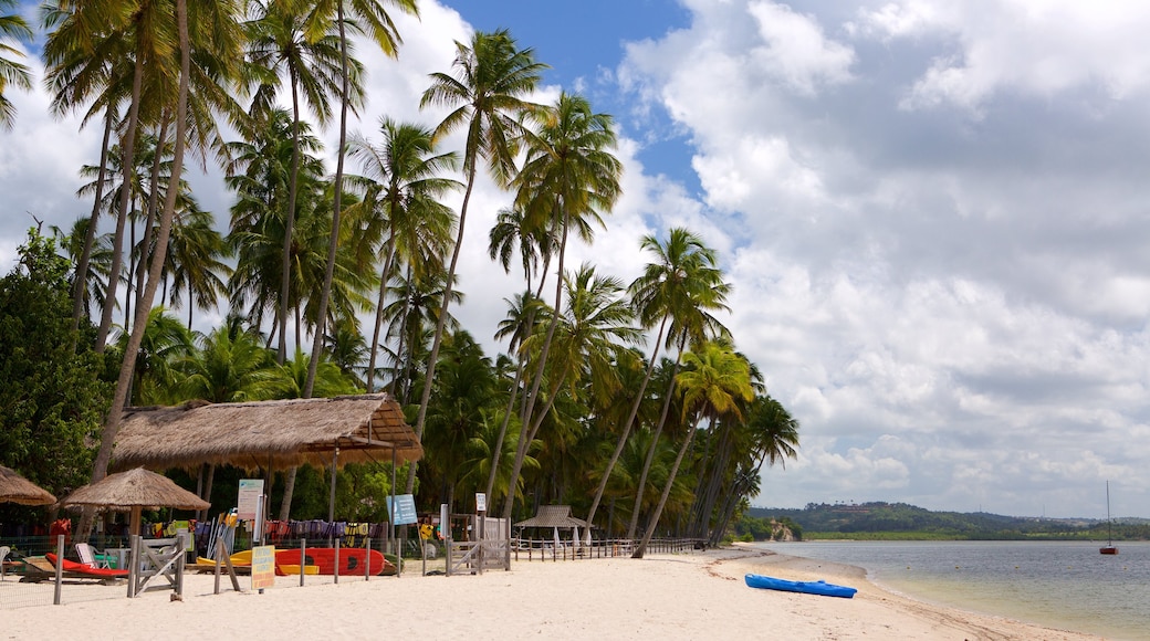 Tamandare mostrando paesaggio tropicale, vista della costa e spiaggia sabbiosa