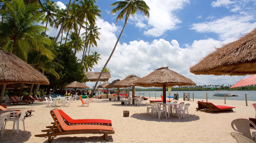 Tamandare mit einem Strand, allgemeine Küstenansicht und Luxushotel oder Resort