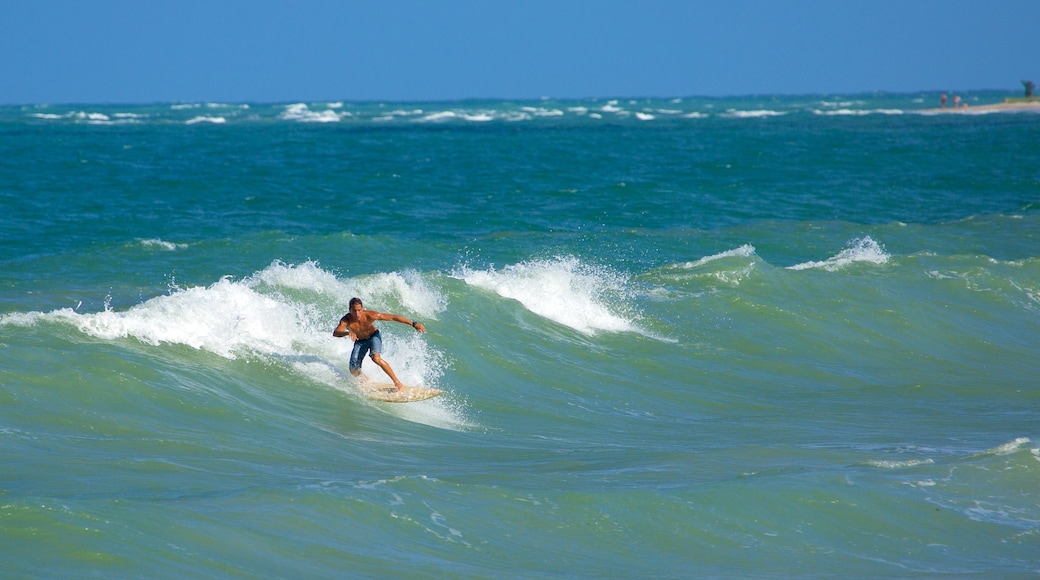 Spiaggia di Maracaipe mostrando surf e vista della costa cosi come ragazzo