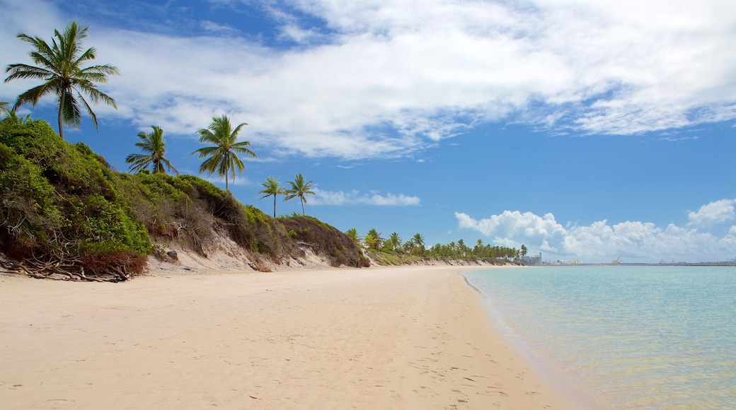 Ipojuca which includes a beach, general coastal views and tropical scenes