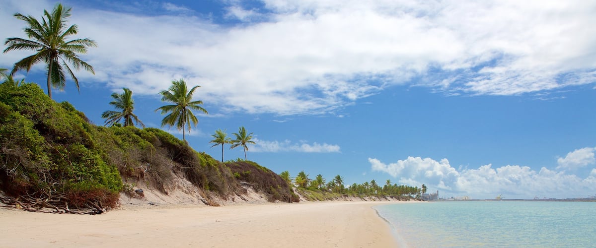 Ipojuca showing general coastal views, tropical scenes and a beach