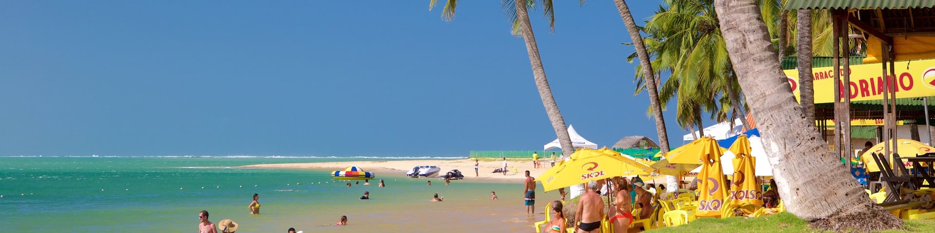 Maceio which includes general coastal views, swimming and tropical scenes