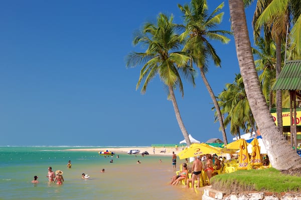 Maceio showing tropical scenes, general coastal views and swimming
