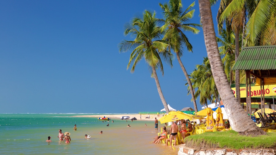 Maceió que inclui paisagens litorùneas, cenas tropicais e natação