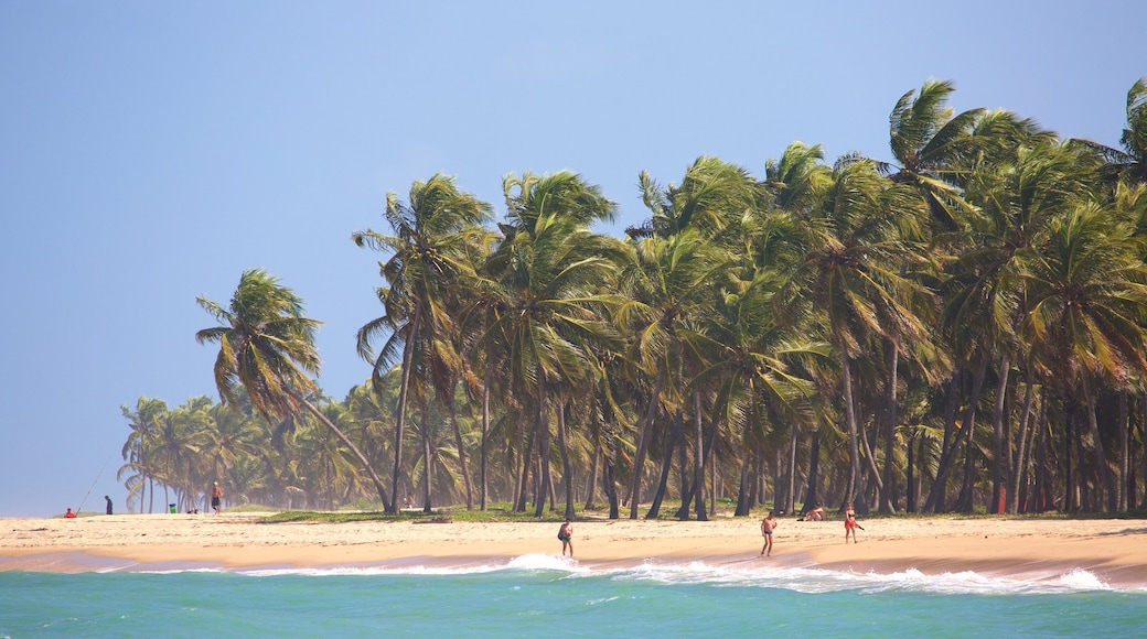 Maceio which includes a beach, tropical scenes and general coastal views