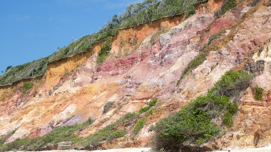 Alagoas featuring rugged coastline