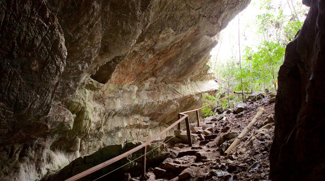 Sao Miguel Cave showing caves