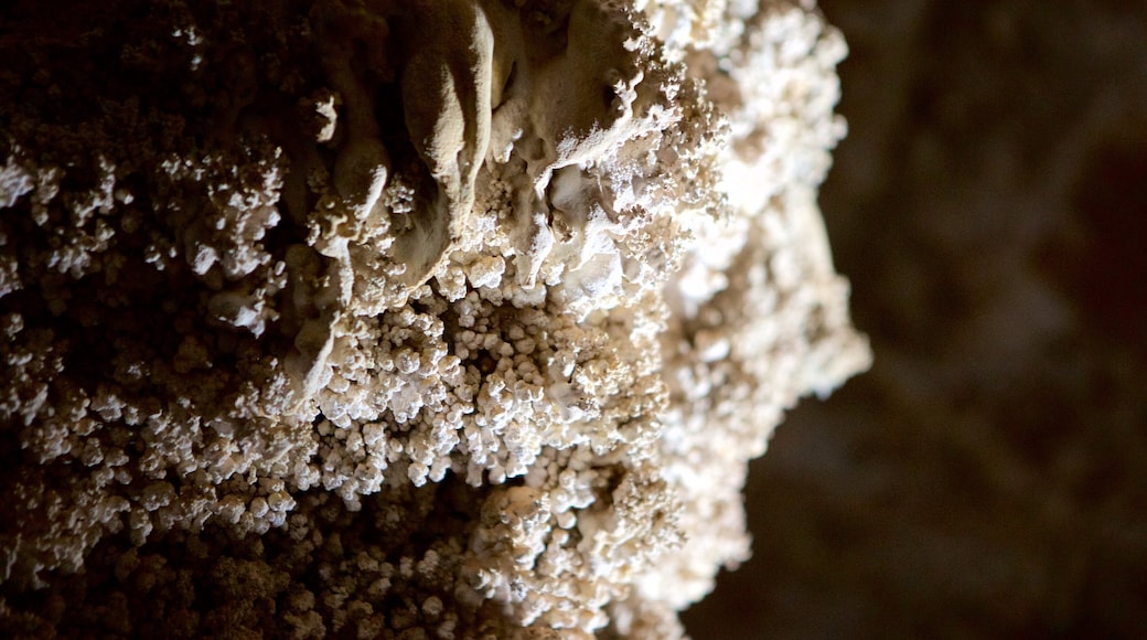 Grotta di San Miguel mostrando grotte