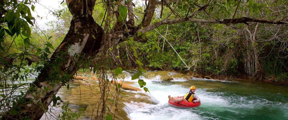 Parque ecológico Rio Formoso que incluye selva, rápidos y rafting