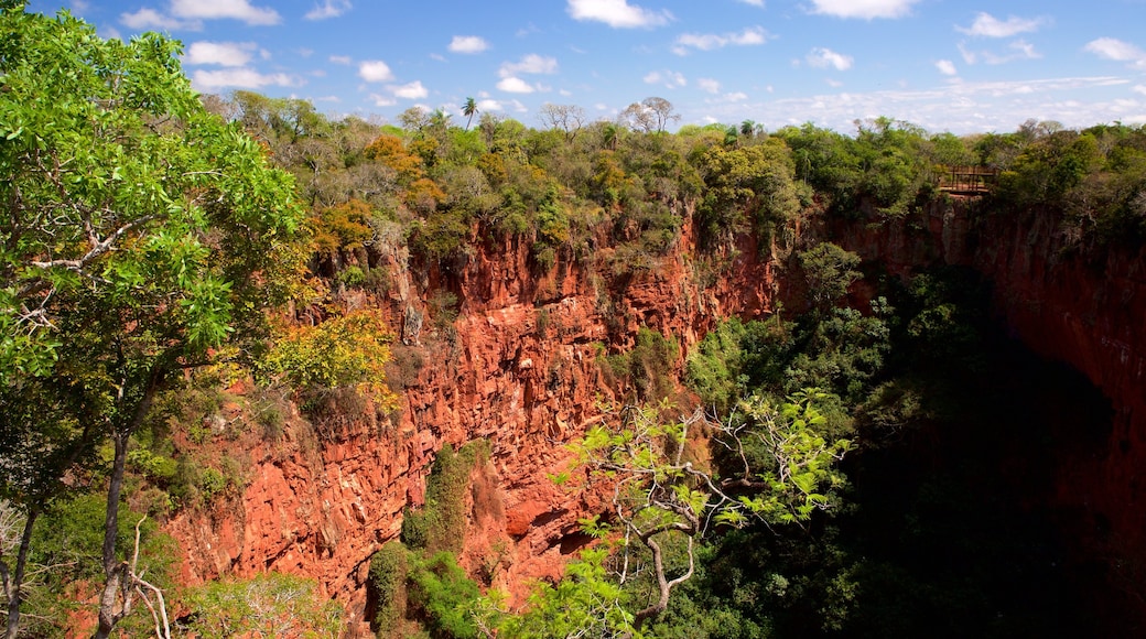 Bonito showing a gorge or canyon and forest scenes