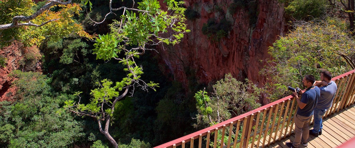 Bonito que inclui paisagens, um desfiladeiro ou canyon e florestas