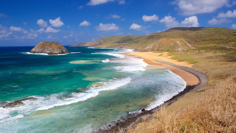 Leao Beach featuring general coastal views, surf and a sandy beach