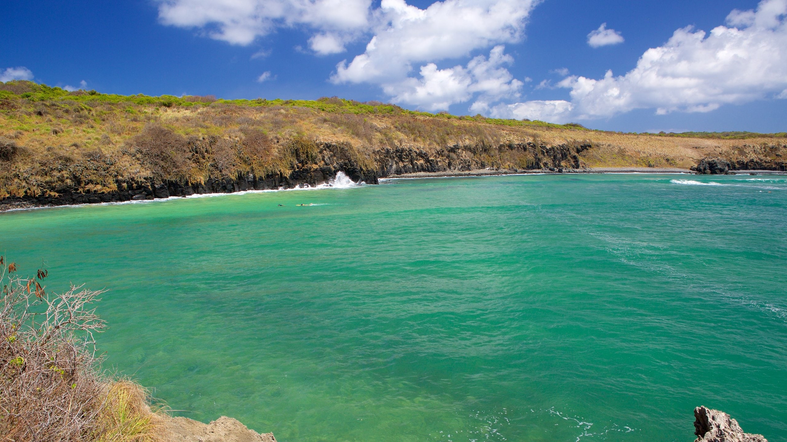 Fernando de Noronha which includes rugged coastline and general coastal views