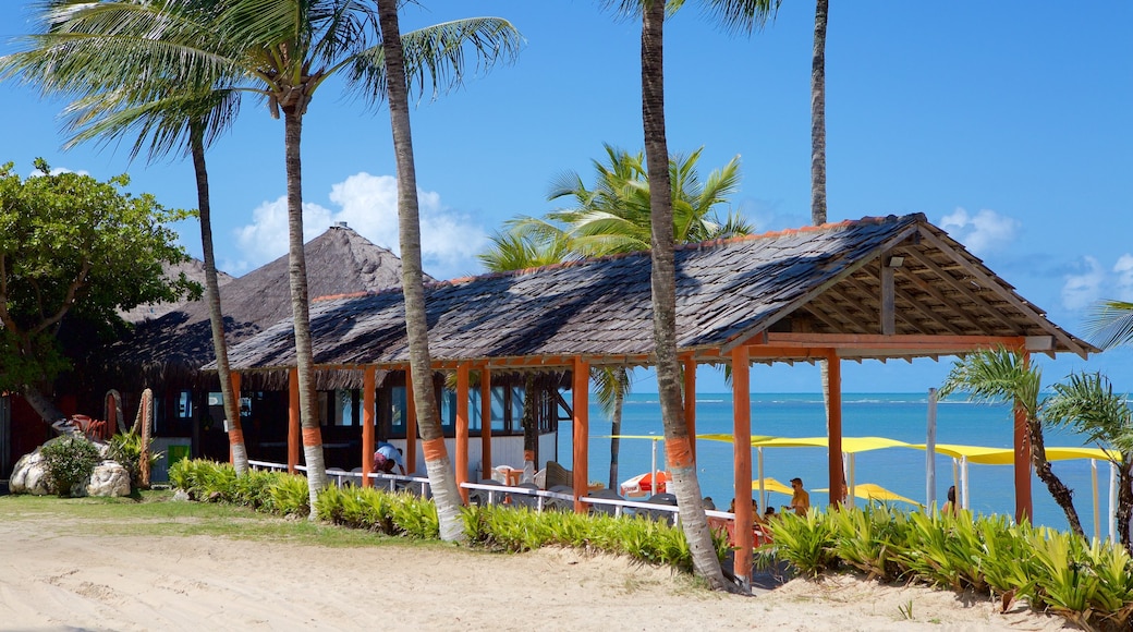 Praia do Mutá mostrando cenas tropicais, um hotel de luxo ou resort e paisagens litorâneas