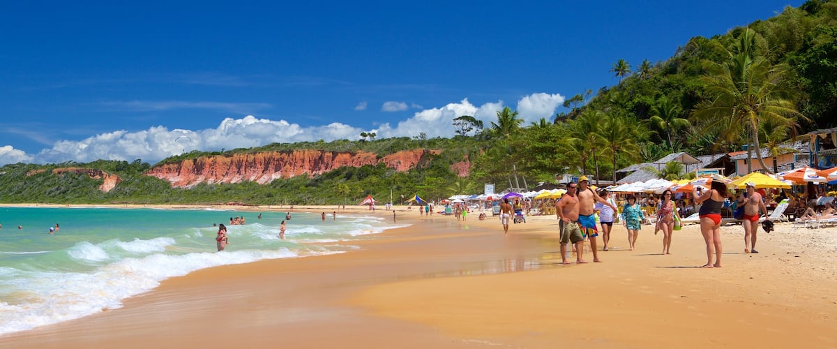 Pitinga Beach featuring a sandy beach, waves and tropical scenes