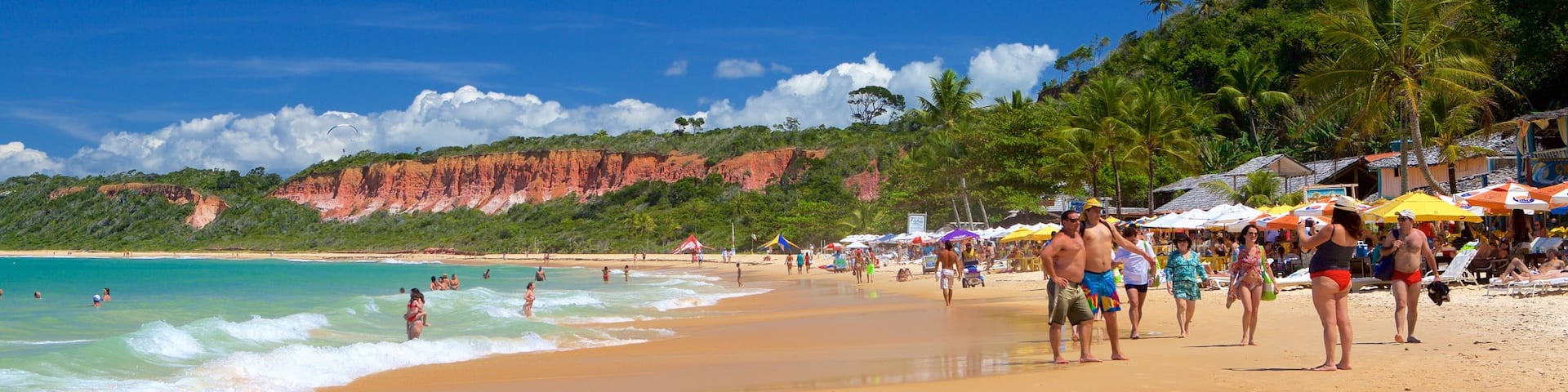 Pitinga Beach featuring a sandy beach, waves and tropical scenes