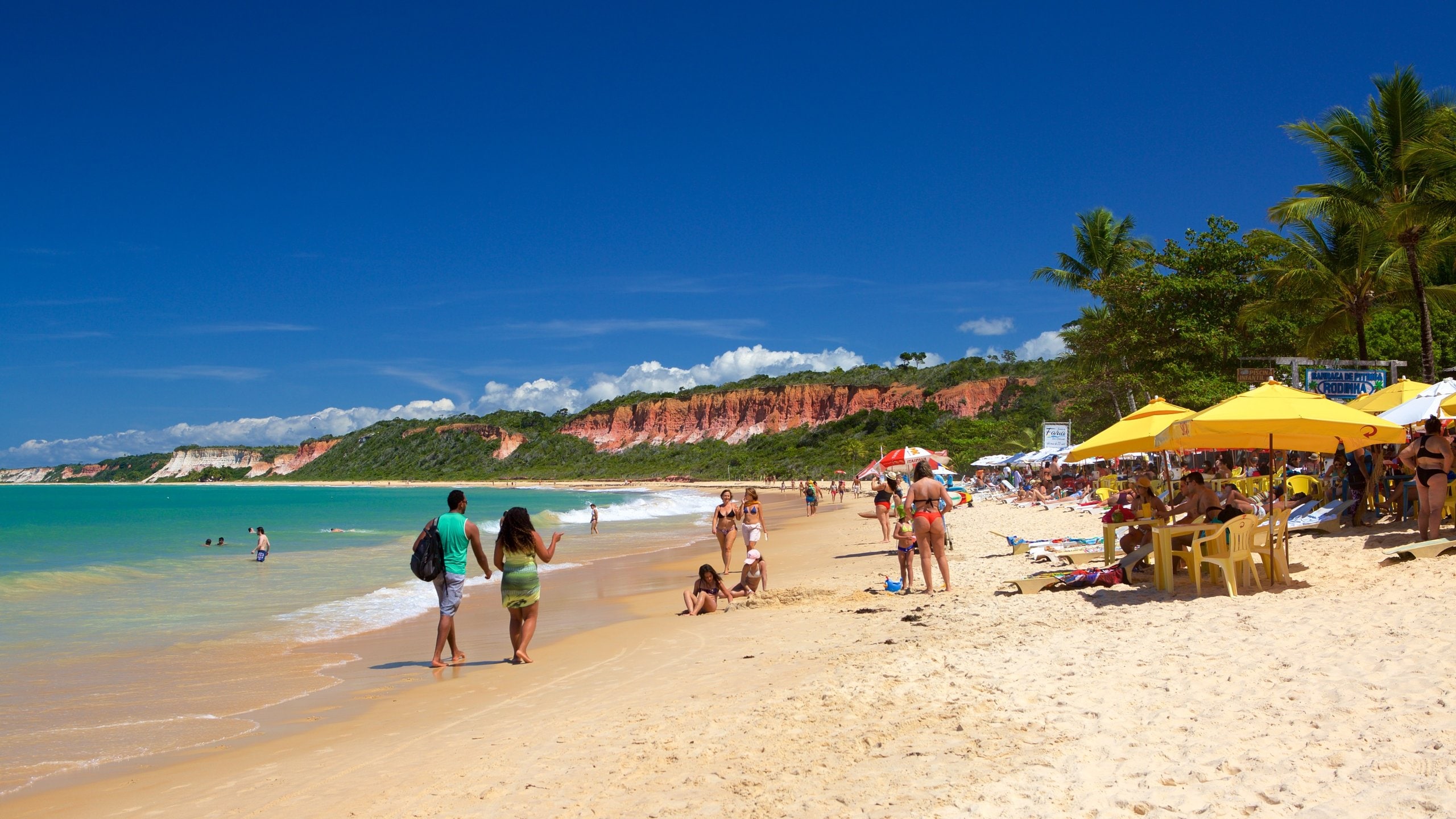 Pitinga Beach featuring general coastal views, tropical scenes and a beach